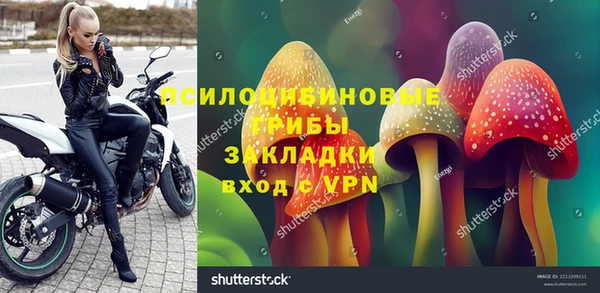 бутират Козловка
