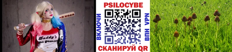 Псилоцибиновые грибы мицелий Тимашёвск