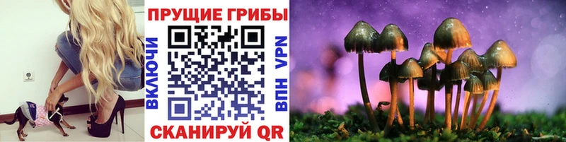купить  сайты  Тимашёвск  hydra ссылка  Галлюциногенные грибы GOLDEN TEACHER 